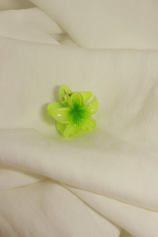 Piranha Média Verde