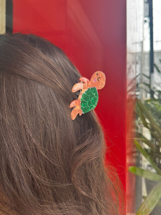 Piranha de Cabelo Tartaruga