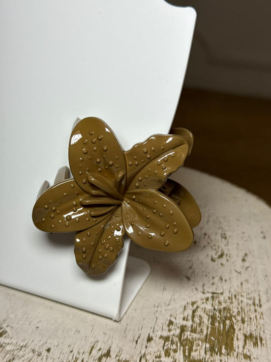 Piranha Flor Marrom